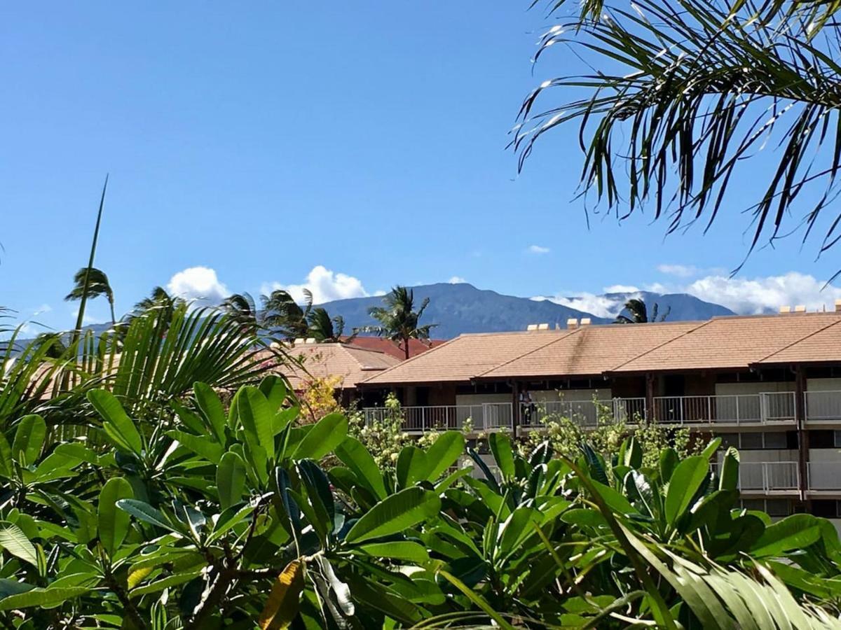 Perfect For Families And Couples - Maui Sunset A-203 Appartement Kihei Buitenkant foto